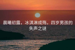 晨曦初露，冰淇淋成殤，四歲男孩的失聲之謎