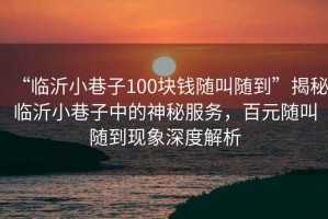 “臨沂小巷子100塊錢隨叫隨到”揭秘臨沂小巷子中的神秘服務(wù)，百元隨叫隨到現(xiàn)象深度解析