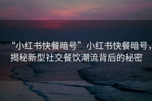 “小紅書快餐暗號(hào)”小紅書快餐暗號(hào)，揭秘新型社交餐飲潮流背后的秘密