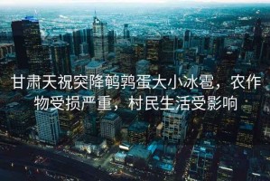 甘肅天祝突降鵪鶉蛋大小冰雹，農(nóng)作物受損嚴(yán)重，村民生活受影響