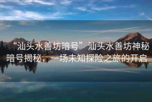 “汕頭水善坊暗號(hào)”汕頭水善坊神秘暗號(hào)揭秘，一場(chǎng)未知探險(xiǎn)之旅的開啟