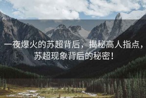 一夜爆火的蘇超背后，揭秘高人指點，蘇超現象背后的秘密！