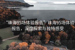 “珠海95場體驗(yàn)報(bào)告”珠海95場體驗(yàn)報(bào)告，深度探索與獨(dú)特感受