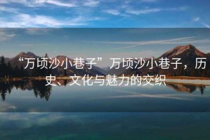 “萬頃沙小巷子”萬頃沙小巷子，歷史、文化與魅力的交織