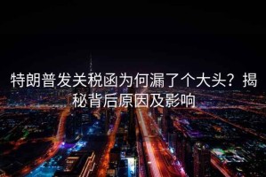 特朗普發(fā)關(guān)稅函為何漏了個(gè)大頭？揭秘背后原因及影響