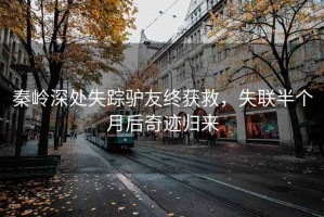 秦嶺深處失蹤驢友終獲救，失聯(lián)半個(gè)月后奇跡歸來(lái)