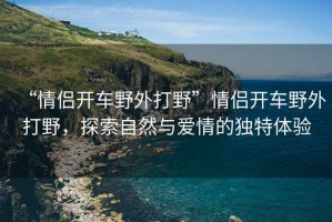 “情侶開車野外打野”情侶開車野外打野，探索自然與愛情的獨特體驗