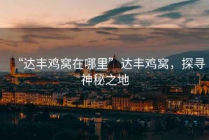 “達(dá)豐雞窩在哪里”達(dá)豐雞窩，探尋神秘之地