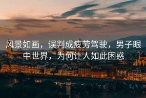 風(fēng)景如畫，誤判成疲勞駕駛，男子眼中世界，為何讓人如此困惑