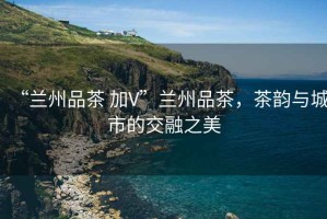“蘭州品茶 加V”蘭州品茶，茶韻與城市的交融之美