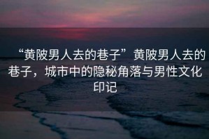 “黃陂男人去的巷子”黃陂男人去的巷子，城市中的隱秘角落與男性文化印記