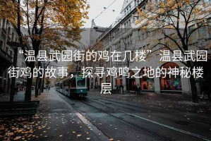 “溫縣武園街的雞在幾樓”溫縣武園街雞的故事，探尋雞鳴之地的神秘樓層