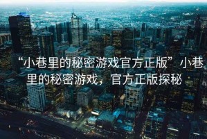 “小巷里的秘密游戲官方正版”小巷里的秘密游戲，官方正版探秘