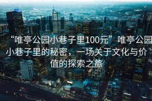“唯亭公園小巷子里100元”唯亭公園小巷子里的秘密，一場(chǎng)關(guān)于文化與價(jià)值的探索之旅
