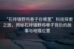 “石排鎮(zhèn)野雞巷子在哪里”科技探索之旅，揭秘石排鎮(zhèn)野雞巷子背后的故事與地理位置