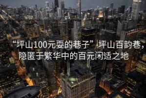 “坪山100元耍的巷子”坪山百韻巷，隱匿于繁華中的百元閑適之地