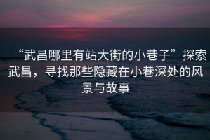 “武昌哪里有站大街的小巷子”探索武昌，尋找那些隱藏在小巷深處的風景與故事