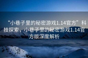 “小巷子里的秘密游戲1.14官方”科技探索，小巷子里的秘密游戲1.14官方版深度解析
