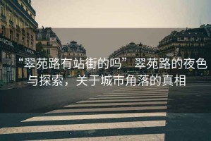 “翠苑路有站街的嗎”翠苑路的夜色與探索，關(guān)于城市角落的真相