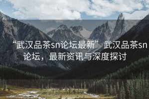 “武漢品茶sn論壇最新”武漢品茶sn論壇，最新資訊與深度探討