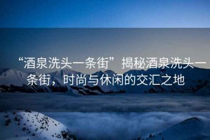 “酒泉洗頭一條街”揭秘酒泉洗頭一條街，時(shí)尚與休閑的交匯之地