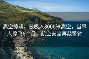 高空驚魂，被吸入8000米高空，當(dāng)事人停飛6個(gè)月，航空安全再敲警鐘