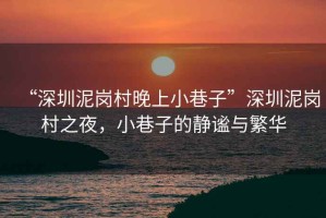 “深圳泥崗村晚上小巷子”深圳泥崗村之夜，小巷子的靜謐與繁華