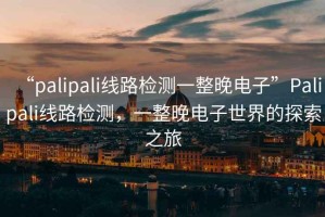 “palipali線路檢測一整晚電子”Palipali線路檢測，一整晚電子世界的探索之旅