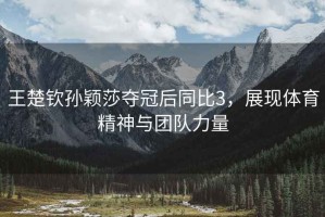 王楚欽孫穎莎奪冠后同比3，展現(xiàn)體育精神與團隊力量