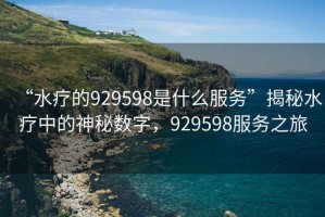 “水療的929598是什么服務”揭秘水療中的神秘數(shù)字，929598服務之旅