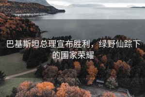 巴基斯坦總理宣布勝利，綠野仙蹤下的國家榮耀