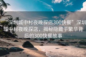 “深圳城中村夜晚探店300快餐”深圳城中村夜晚探店，揭秘隱藏于繁華背后的300快餐故事