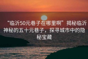 “臨沂50元巷子在哪里啊”揭秘臨沂神秘的五十元巷子，探尋城市中的隱秘寶藏