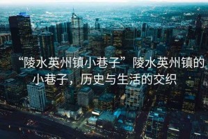 “陵水英州鎮(zhèn)小巷子”陵水英州鎮(zhèn)的小巷子，歷史與生活的交織