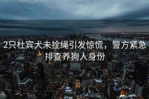 2只杜賓犬未拴繩引發(fā)驚慌，警方緊急排查養(yǎng)狗人身份