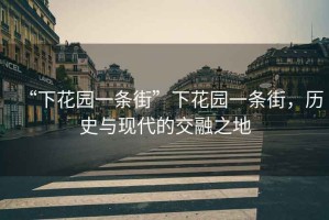 “下花園一條街”下花園一條街，歷史與現(xiàn)代的交融之地