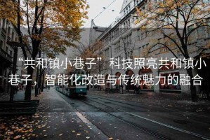 “共和鎮(zhèn)小巷子”科技照亮共和鎮(zhèn)小巷子，智能化改造與傳統(tǒng)魅力的融合
