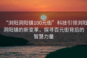“瀏陽洞陽鎮(zhèn)100元街”科技引領(lǐng)瀏陽洞陽鎮(zhèn)的新變革，探尋百元街背后的智慧力量