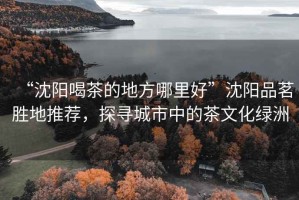 “沈陽喝茶的地方哪里好”沈陽品茗勝地推薦，探尋城市中的茶文化綠洲