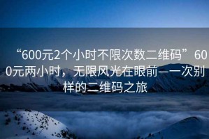 “600元2個小時不限次數(shù)二維碼”600元兩小時，無限風光在眼前—一次別樣的二維碼之旅