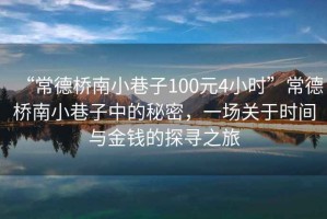 “常德橋南小巷子100元4小時”常德橋南小巷子中的秘密，一場關(guān)于時間與金錢的探尋之旅