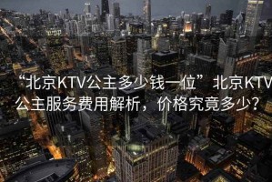 “北京KTV公主多少錢一位”北京KTV公主服務費用解析，價格究竟多少？
