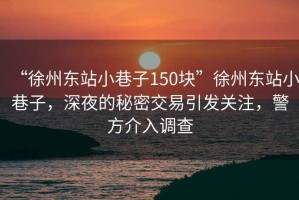 “徐州東站小巷子150塊”徐州東站小巷子，深夜的秘密交易引發(fā)關(guān)注，警方介入調(diào)查