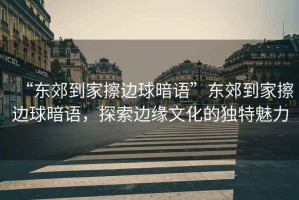 “東郊到家擦邊球暗語”東郊到家擦邊球暗語，探索邊緣文化的獨特魅力