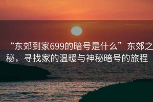 “東郊到家699的暗號是什么”東郊之秘，尋找家的溫暖與神秘暗號的旅程
