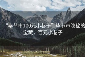 “畢節(jié)市100元小巷子”畢節(jié)市隱秘的寶藏，百元小巷子