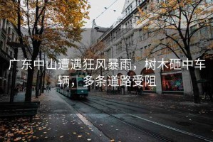 廣東中山遭遇狂風(fēng)暴雨，樹木砸中車輛，多條道路受阻