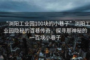 “瀏陽工業(yè)園100塊的小巷子”瀏陽工業(yè)園隱秘的百巷傳奇，探尋那神秘的一百塊小巷子