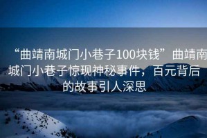 “曲靖南城門小巷子100塊錢”曲靖南城門小巷子驚現(xiàn)神秘事件，百元背后的故事引人深思