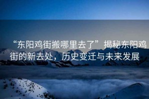 “東陽(yáng)雞街搬哪里去了”揭秘東陽(yáng)雞街的新去處，歷史變遷與未來(lái)發(fā)展